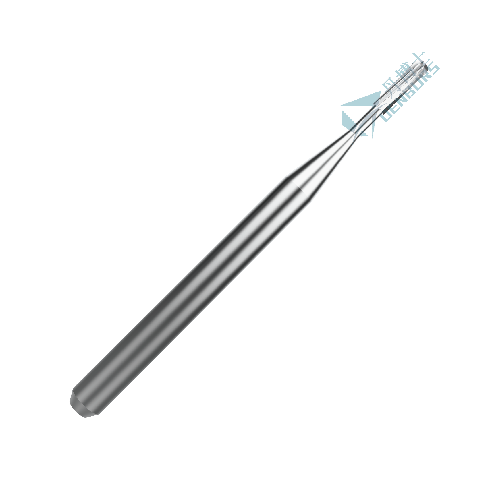Long Pear C7L