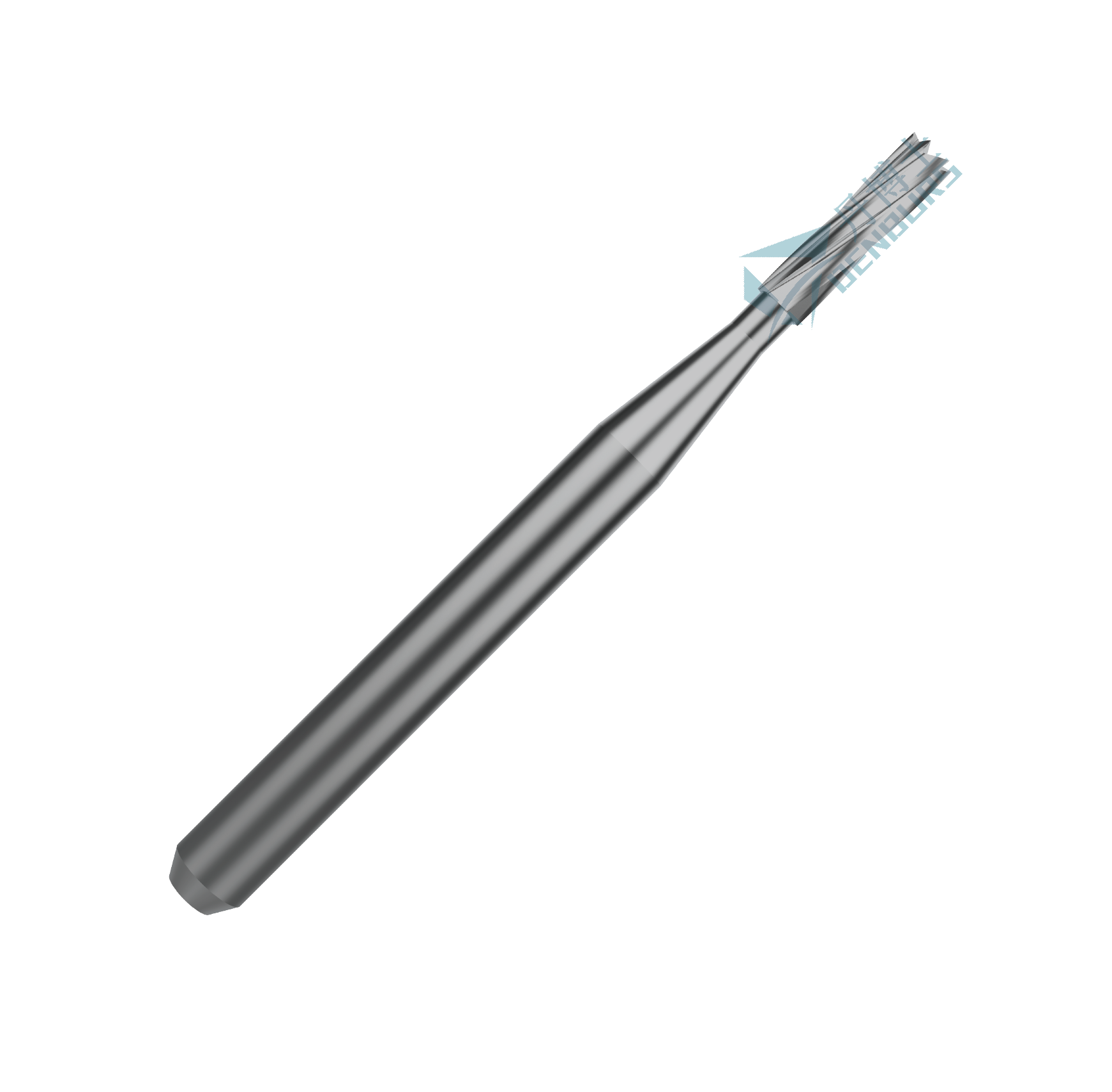 Straight Flat End Fissure C21