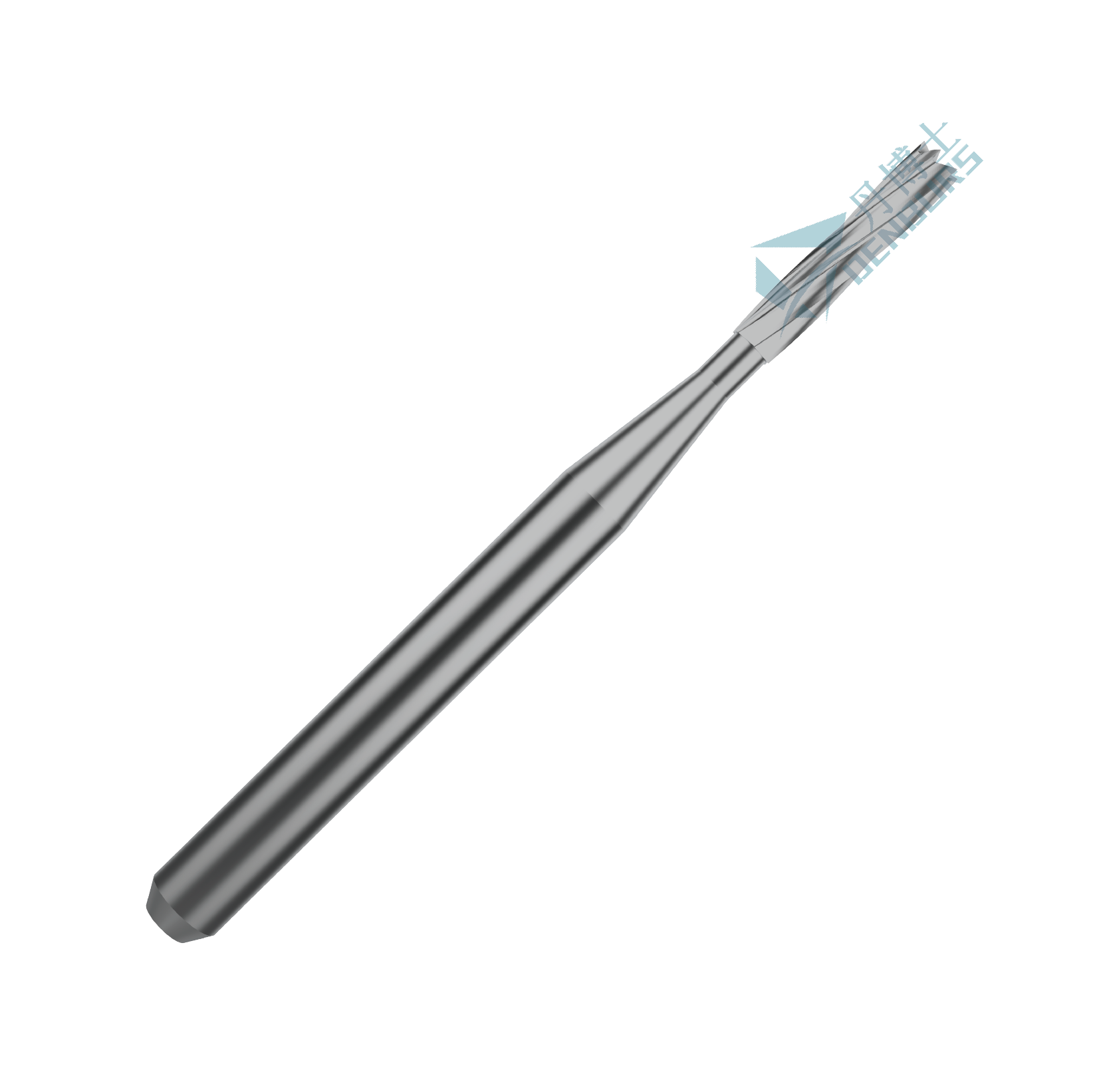 Straight Flat End Fissure C21L