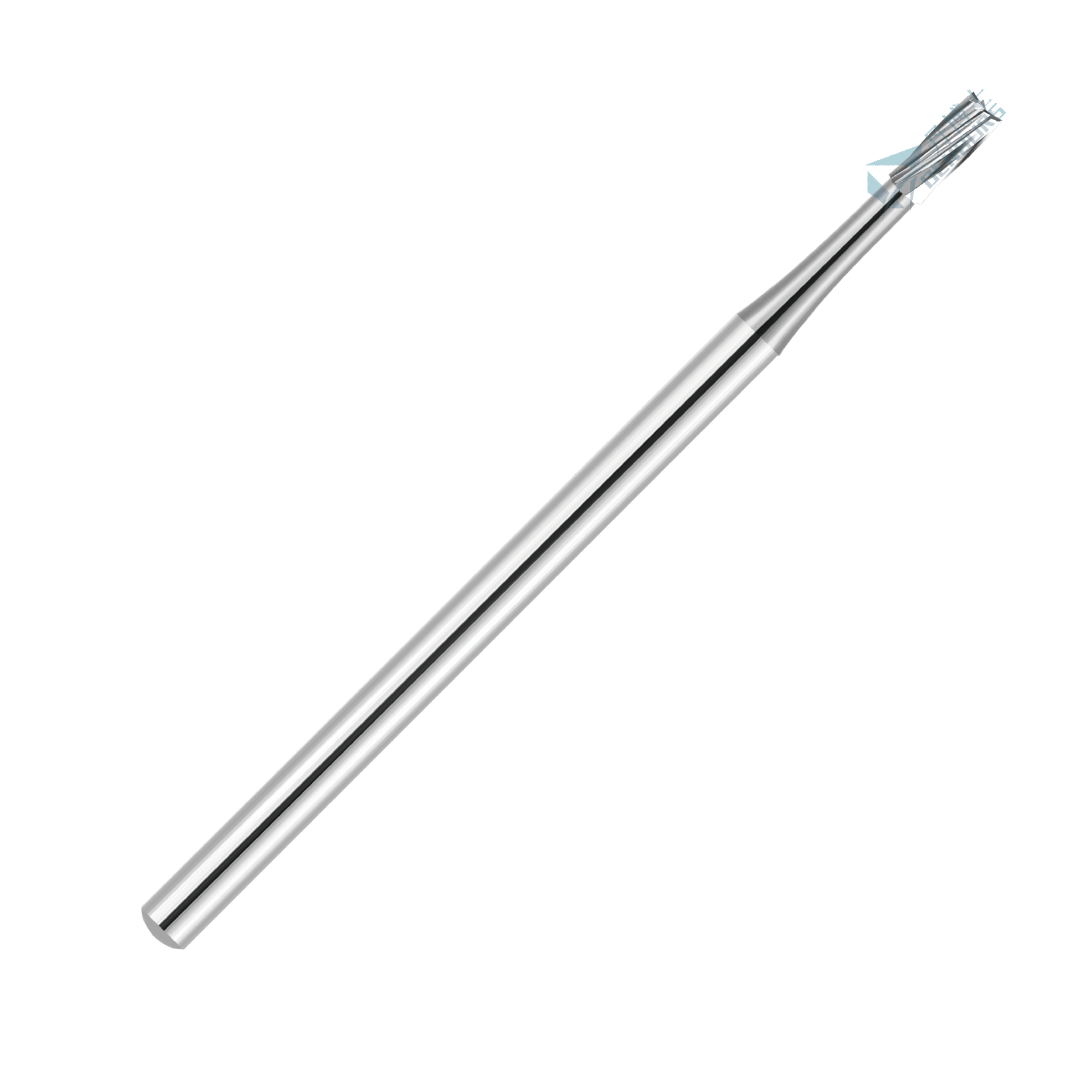Straight Flat End Fissure（21）